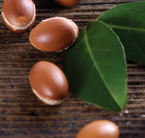 MKS Kahm Shampoo - smoothing
